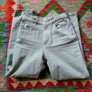 Everlane The Way-High Jean in Archroma Aqua Grey sz27 tall